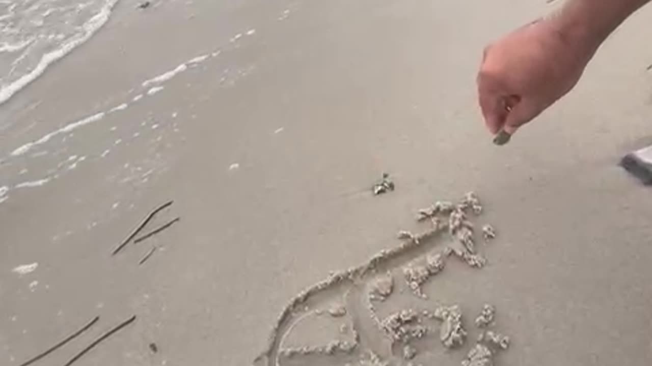 Sea saaa
