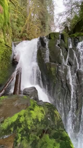 Sweet creek falls in Oregon