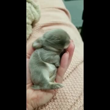 Morning Mood 😊❤️…