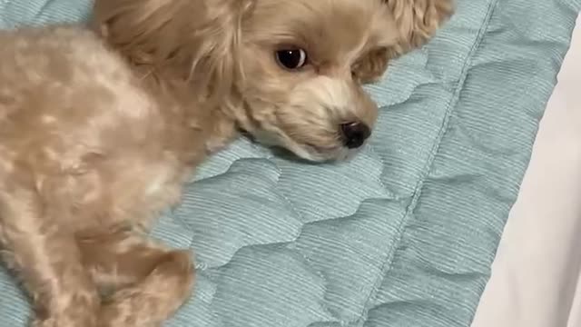 Put the camera away