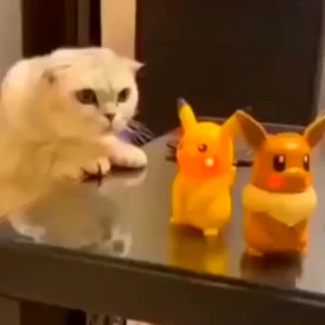 Funny Cat playing with toys