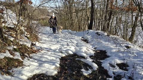 Il back nel bosco