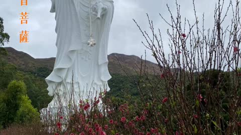 Guan Shih Yin Pusa - Namo Avalokiteshvara Bodhisattva