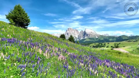 The Heart of the Dolomites: 4K Views & Peaceful Soundscapes