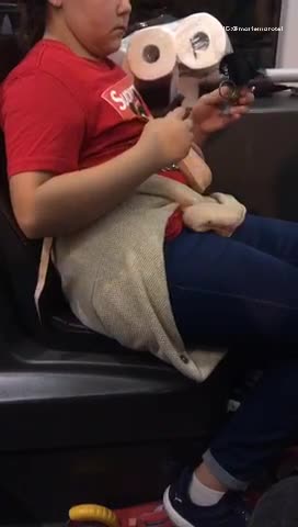 Little girl brushes fake bird with fake knife