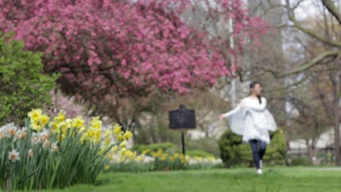 Beautiful lady in a park