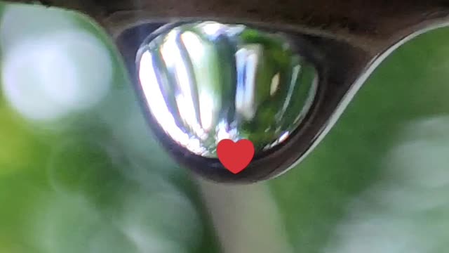 Water droping video