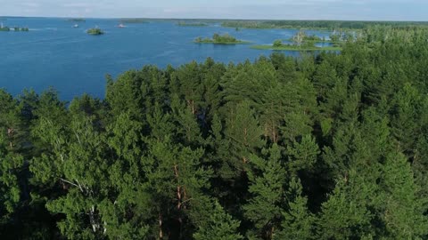 Best Nature Videos