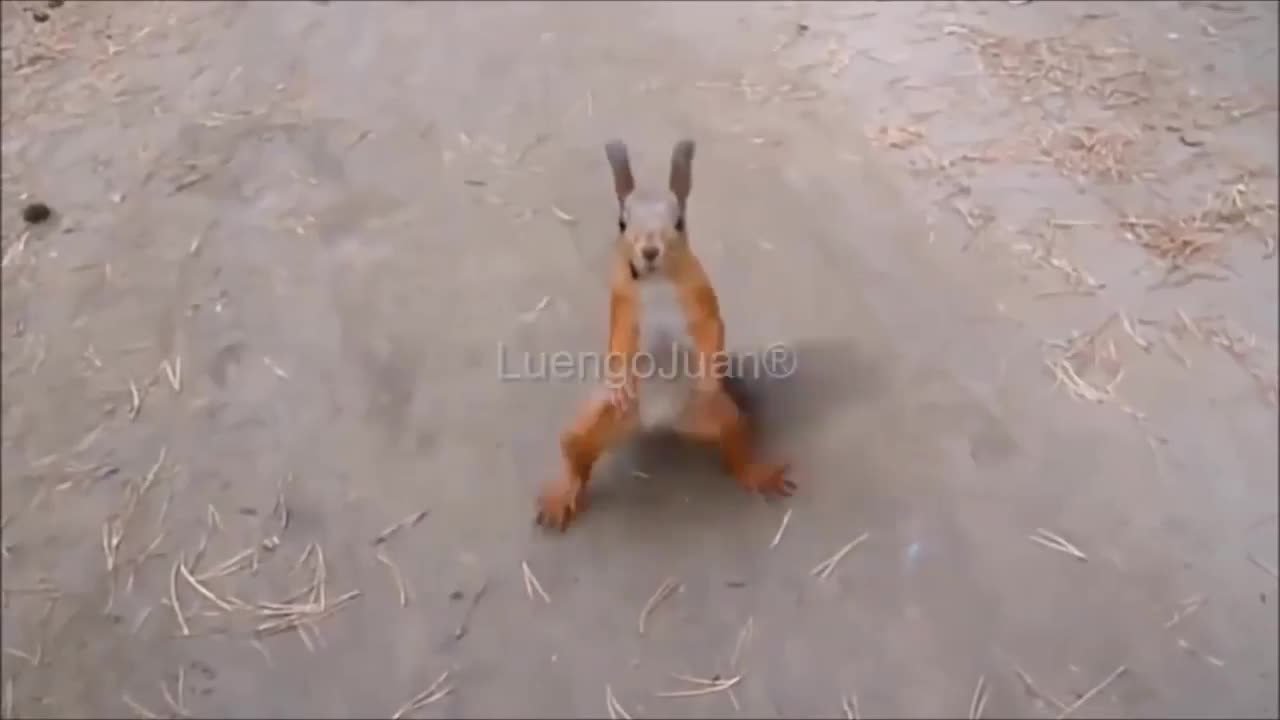 Try not to smile