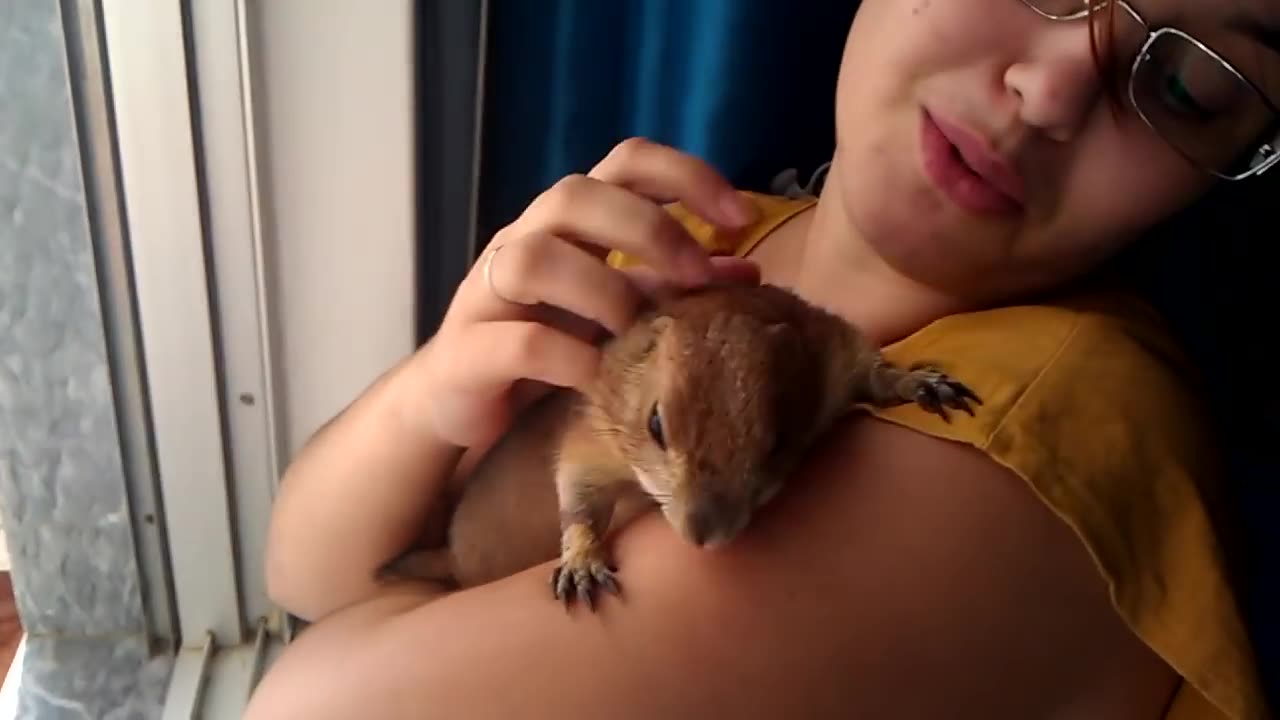Prairie dog yahooing