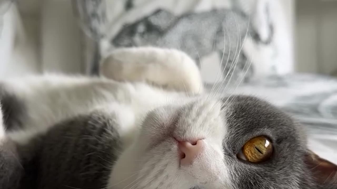 Just chilling out..
