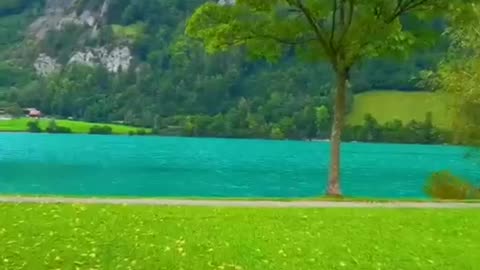 Nature green