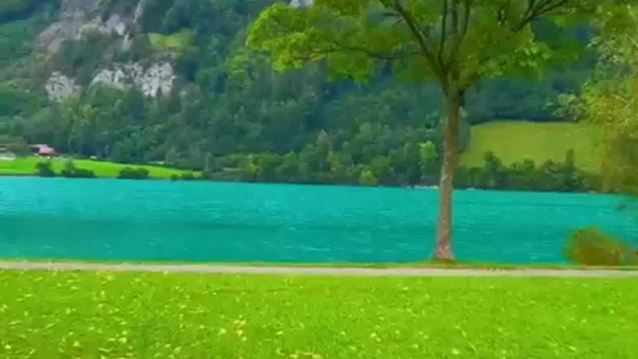 Nature green