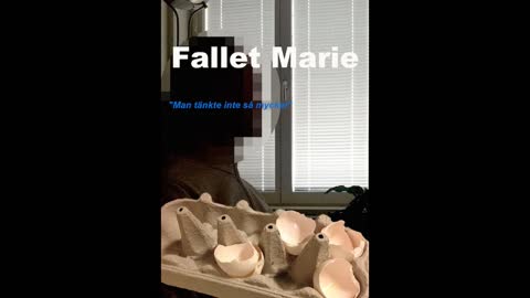 Aktuellt System: Fallet Marie.