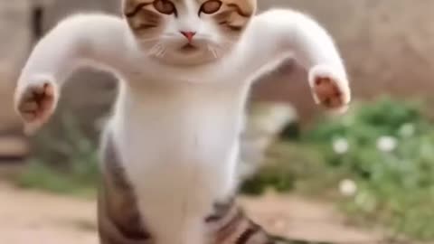 DANCING CAT