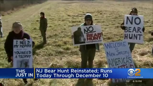 New Jersey bear hunt back on