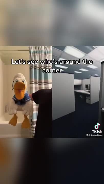 Donald Duck is having a nightmare #shorts