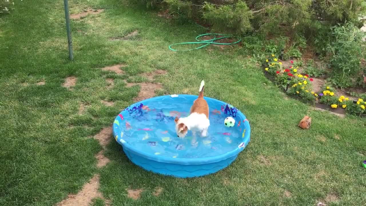 Reba fishing