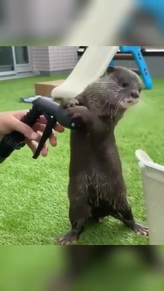 Wounderful view of mother's love