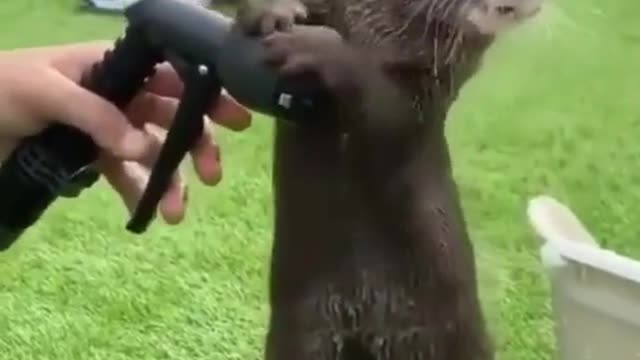 Wounderful view of mother's love