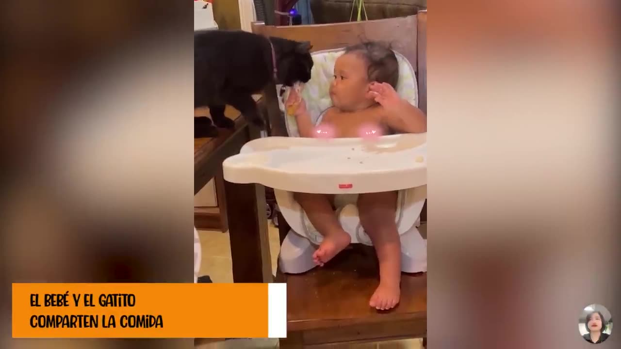 Funny Cat and Baby Videos 😂 Babies and Kittens Growing Together