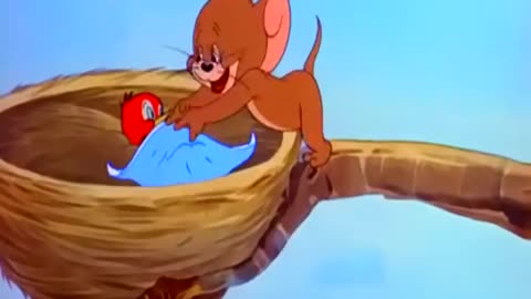 Tom and jerry cartoon