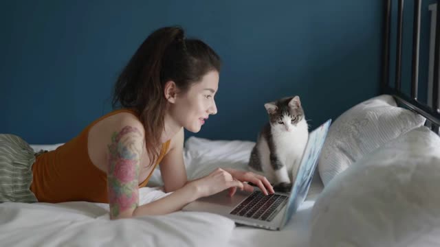 Young asian woman working on laptop online at home lying on bed in bedroom with her cat