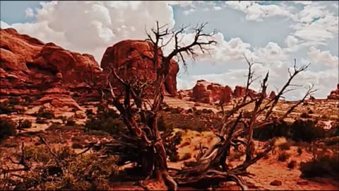 Dire Straits Once Upon A Time In The West HD