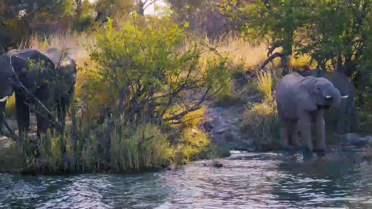 Nature #14