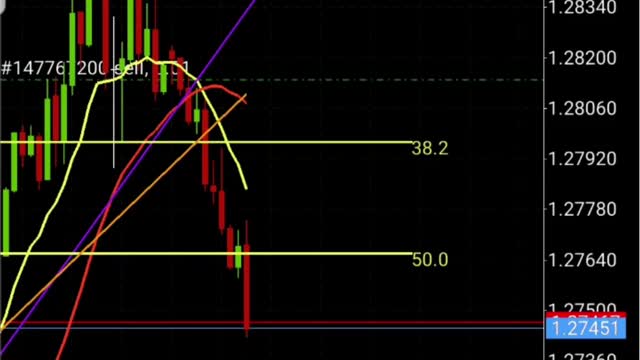 Best way to Trade Forex For Beginners and score 608+ PIPS USDCAD | My Forex Journey