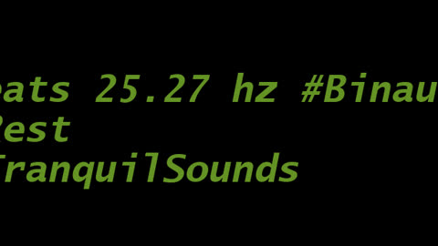 binaural_beats_25.27hz_BinauralFocusBoost SilentMoments BinauralChill