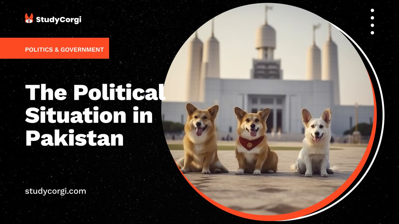 The Political Situation in Pakistan - Essay Example