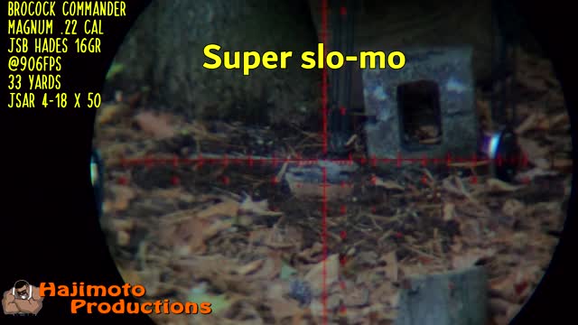 Hajimoto Pesting - Vole Kill #32