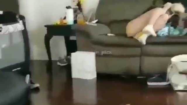 cute cat fighting with cute beautiful girl