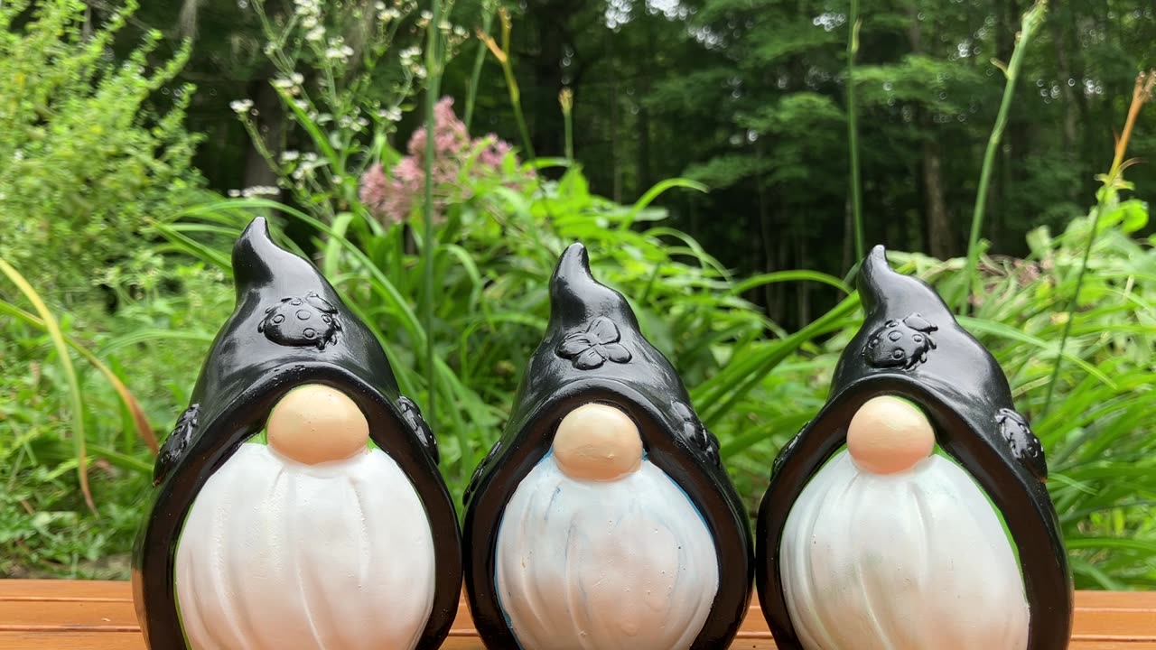 The Morrigan’s with Background Chickens 🐓