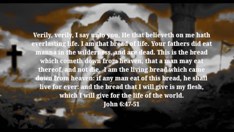 John 6:47-51