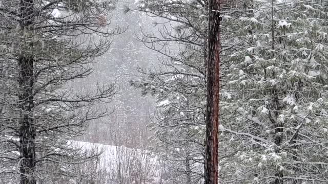 Winter in Idaho City