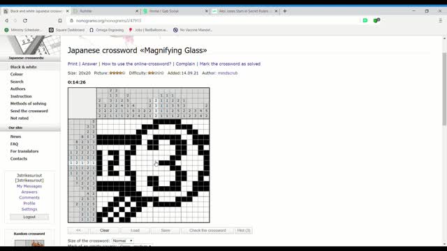 Nonograms - Magnifying Glass