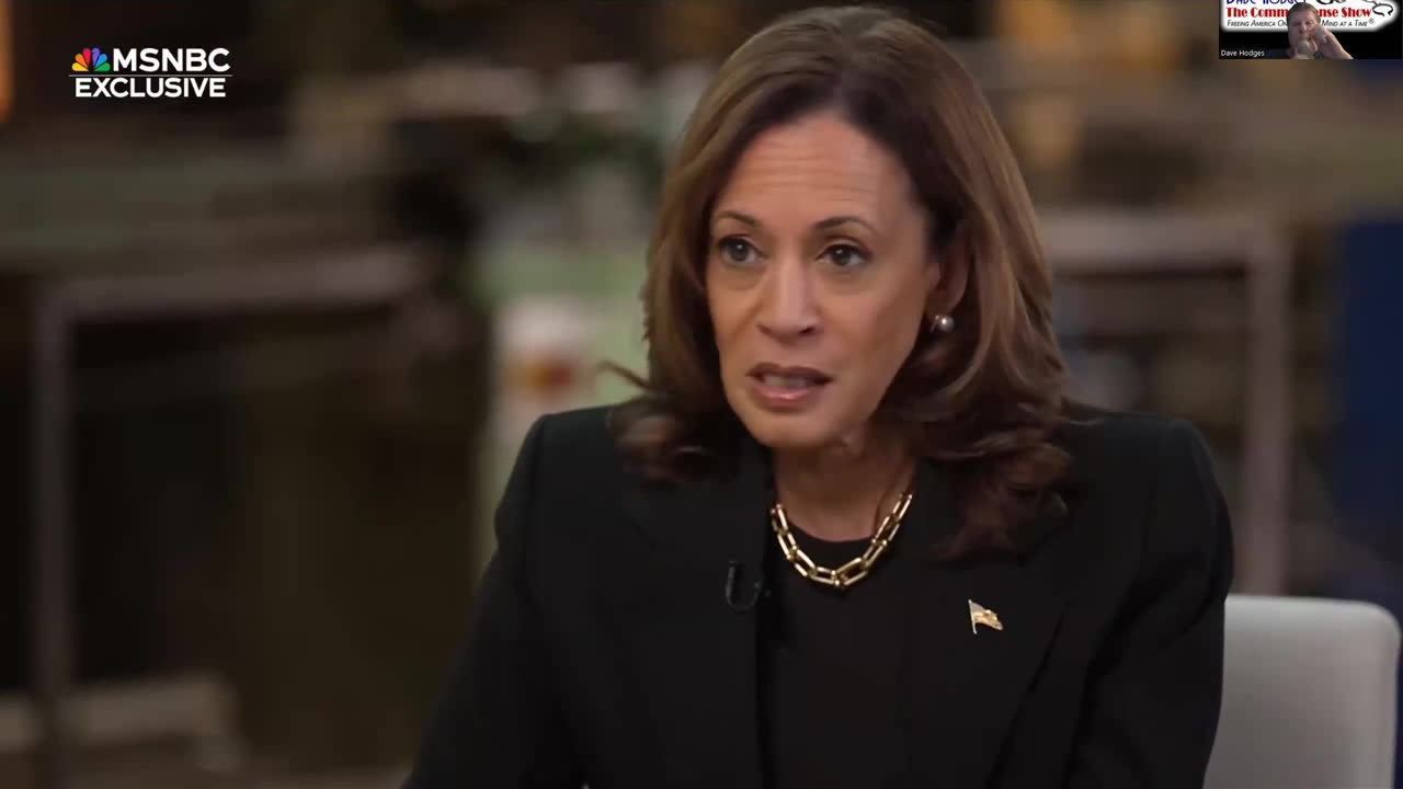 MSNBC 'INADVERTENTLY' EXPOSES KAMALA FOR NOT HAVING A PLAN TO FIX THE ECONOMY