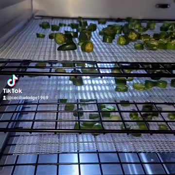 Dehydrated Jalapeño