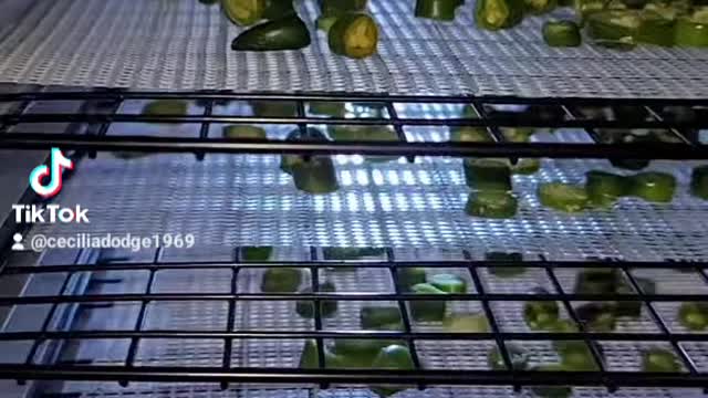 Dehydrated Jalapeño