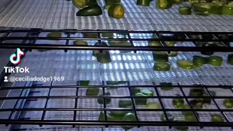 Dehydrated Jalapeño