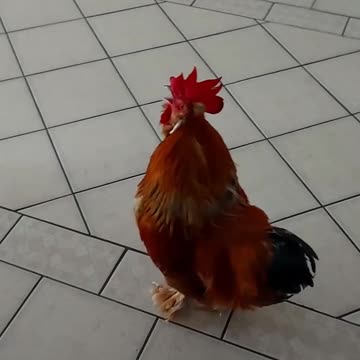 Not the wake up call I ordered 🤣🤣