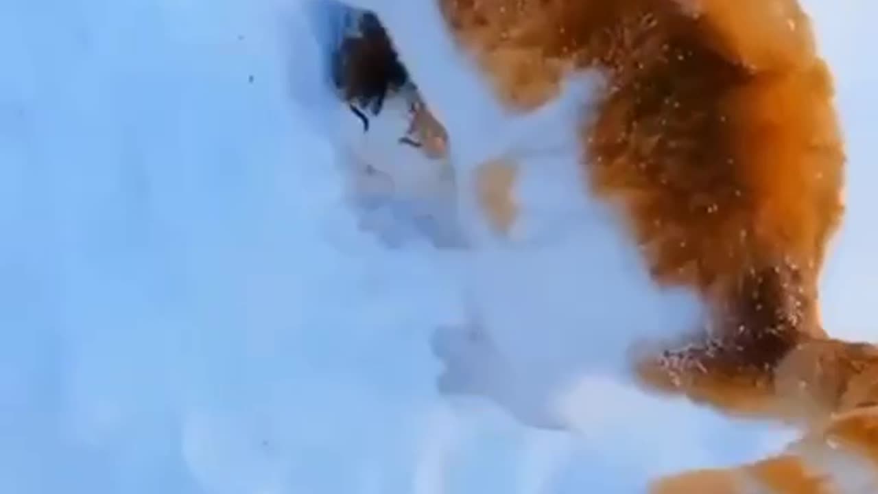 In some parts of the world winter is already there