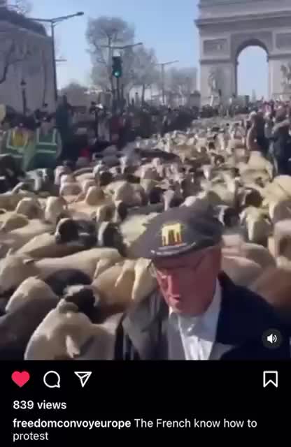 French farmers protest