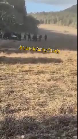 AT LEAST 14 DEAD IDF 20 SERIOUSLY WOUNDED IN LEBANON