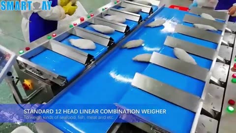 Combination Weigher | Smartweighpack.com