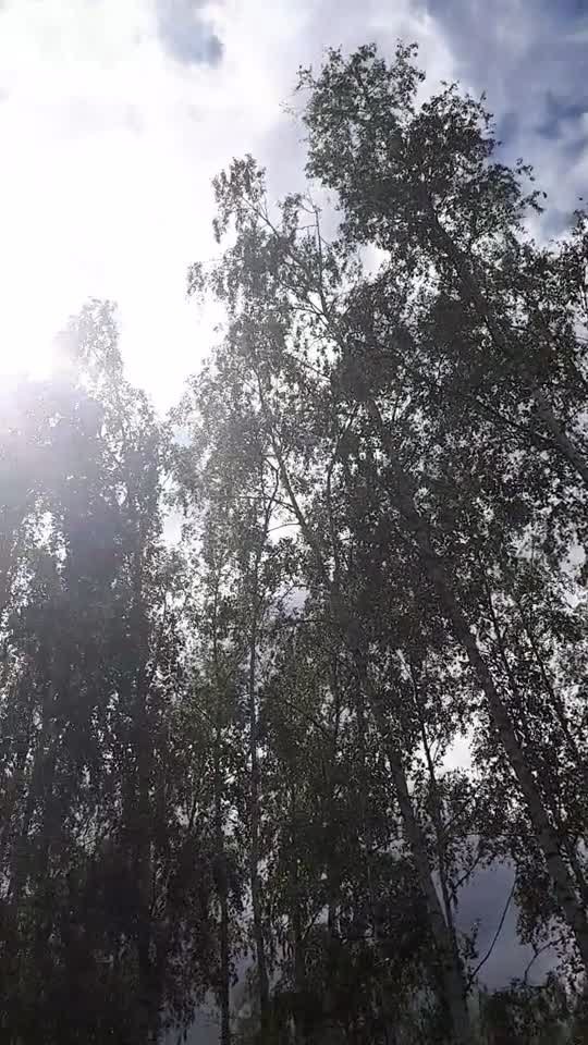 Himmel in Berlin am 22. Mai 2022 so 12:40 Uhr