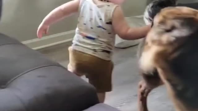 Cute baby with dog