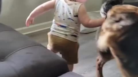 Cute baby with dog